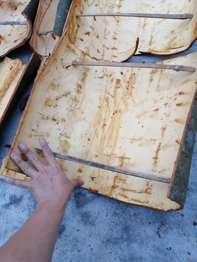 广西无琉野生桂皮桂板桂筒桂碎