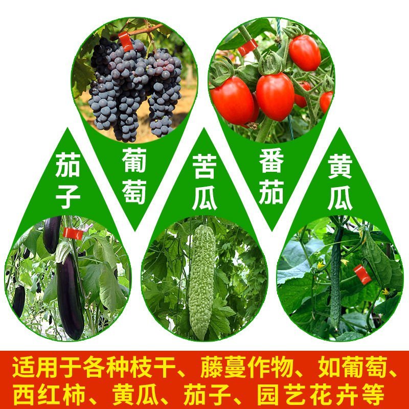 （绑枝机胶带套餐包邮〉番茄辣椒绑枝机黄瓜绑蔓器蔬果苗木绑