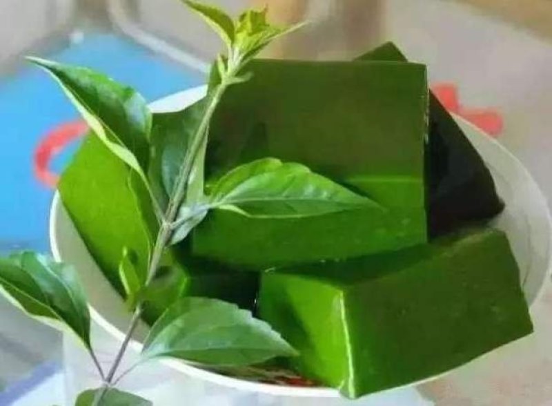 来自山野可以做豆腐的树豆腐树苗