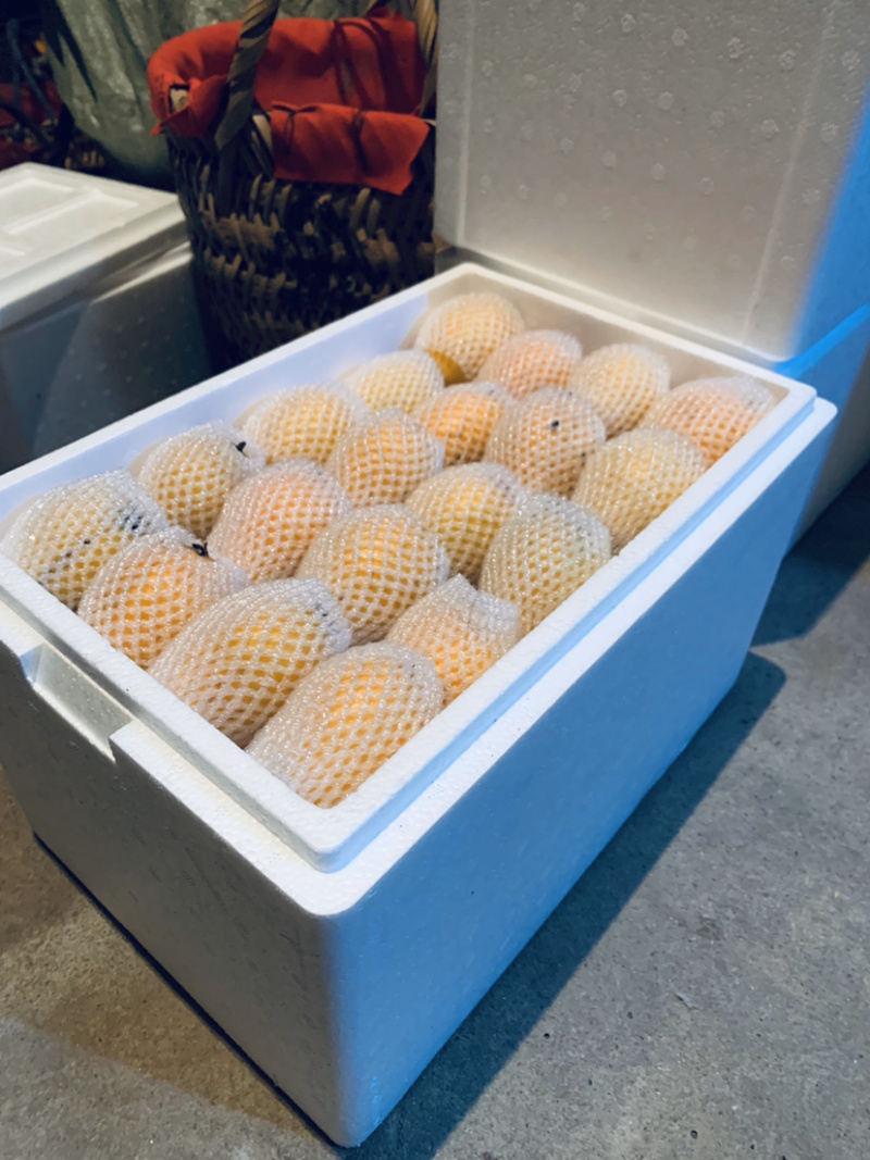 一都批杷第一村，不打农药无污染超大个五星级枇杷