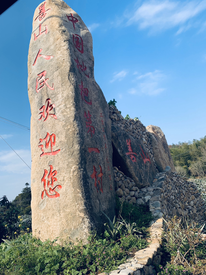 一都批杷第一村，不打农药无污染超大个五星级枇杷