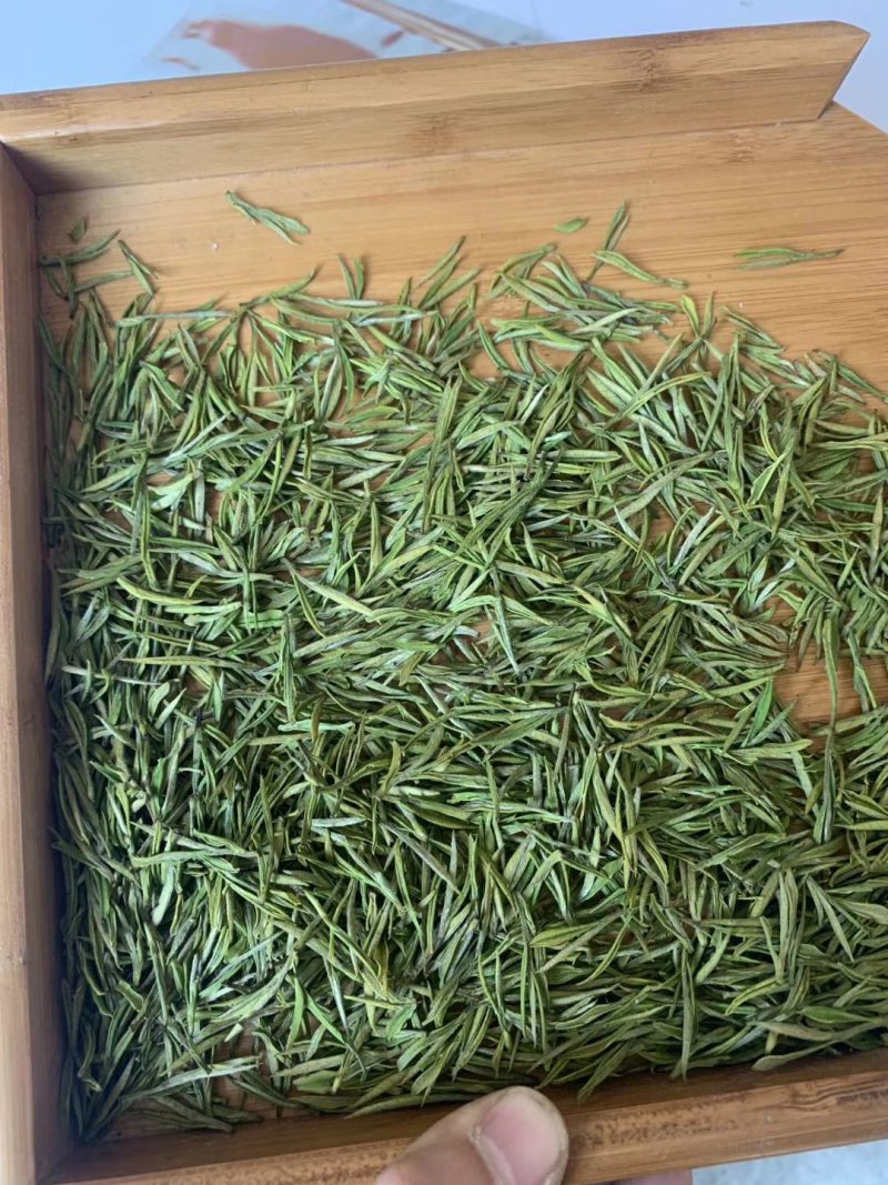 阿吉白茶
