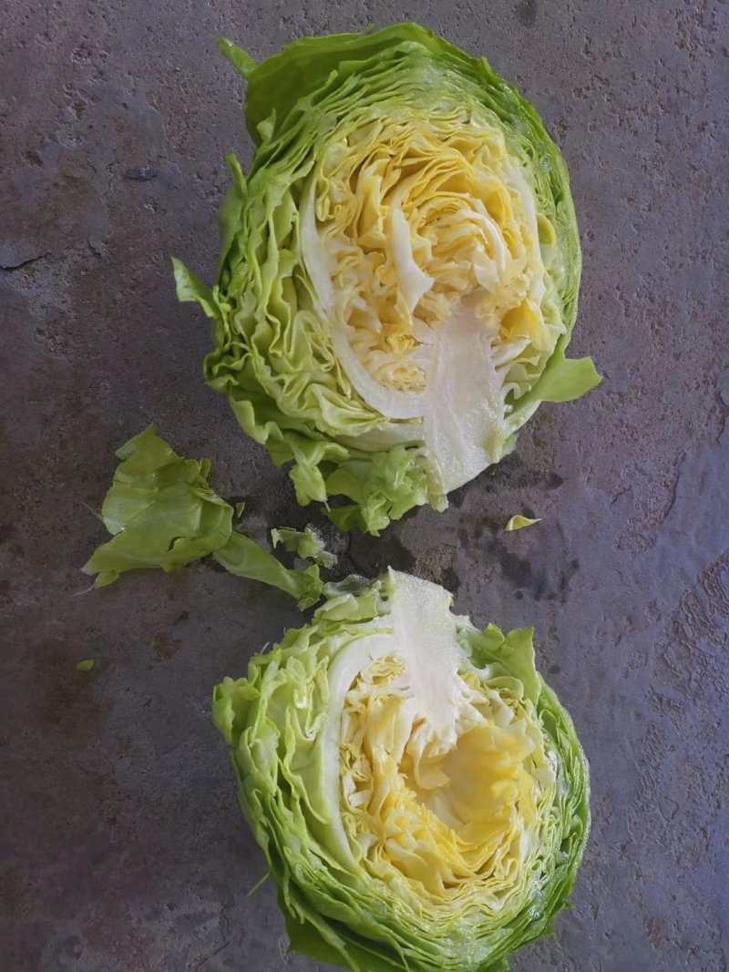 山东潍坊甘蓝，黄心，绿甘蓝，大头菜，包菜，净菜，大量上市
