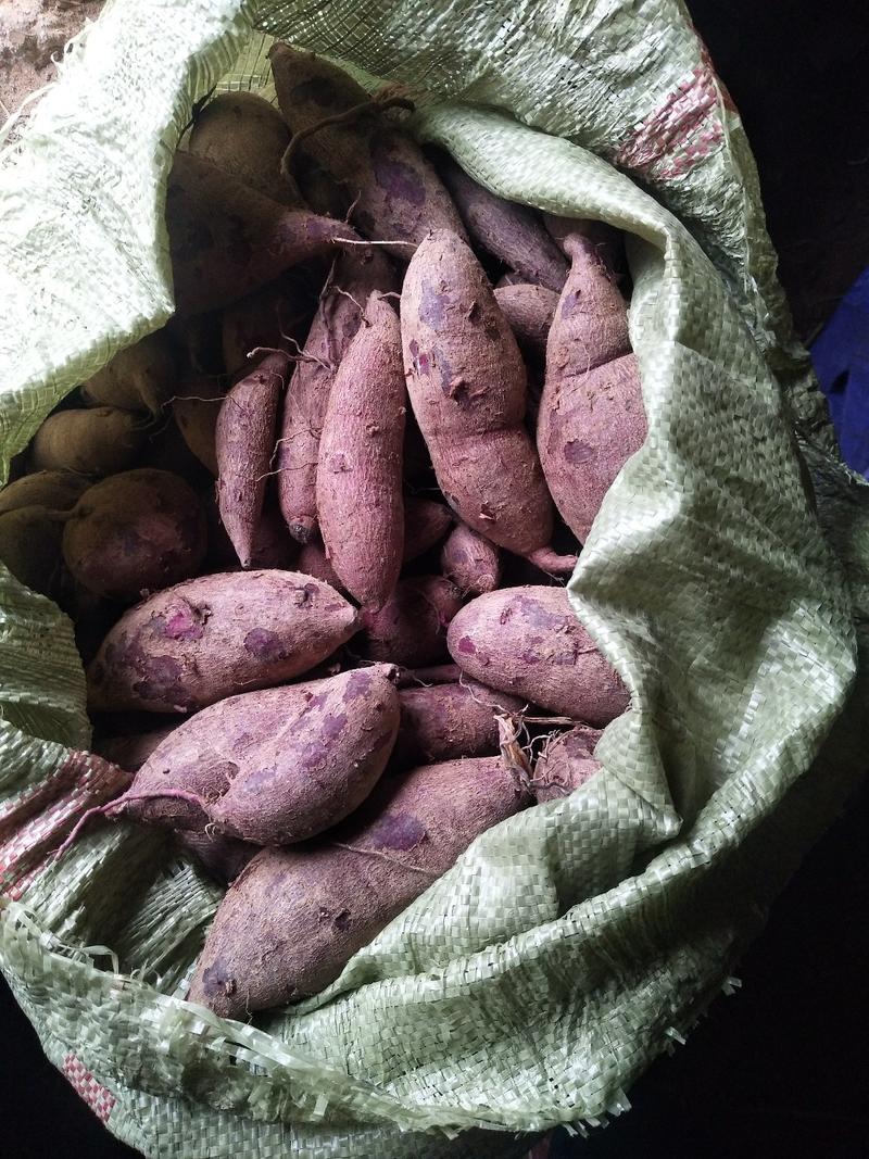 湖北优质紫薯货源充足每天现挖现发！货源充足价格优惠