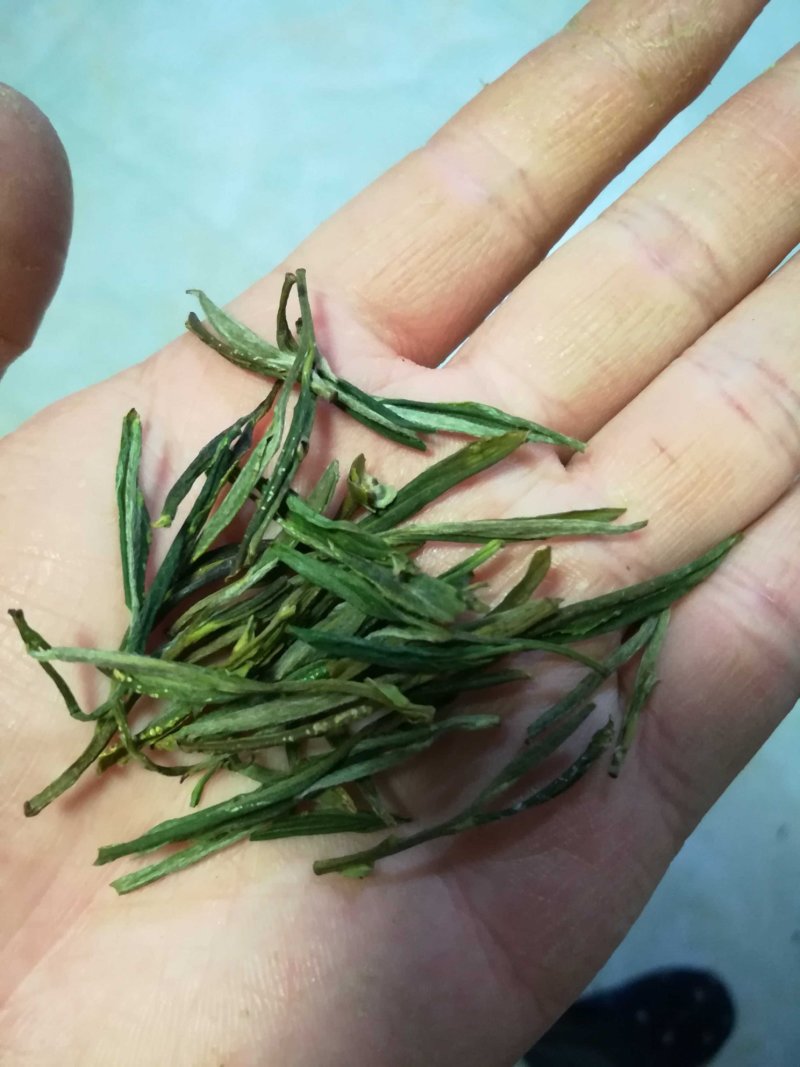 黄山毛峰，自家种植！品质有保证！