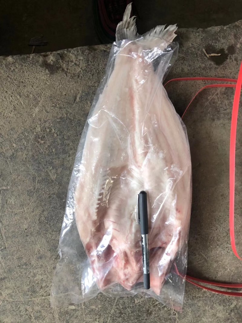 龙利鱼