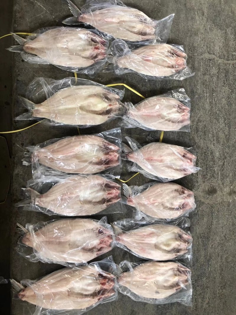龙利鱼