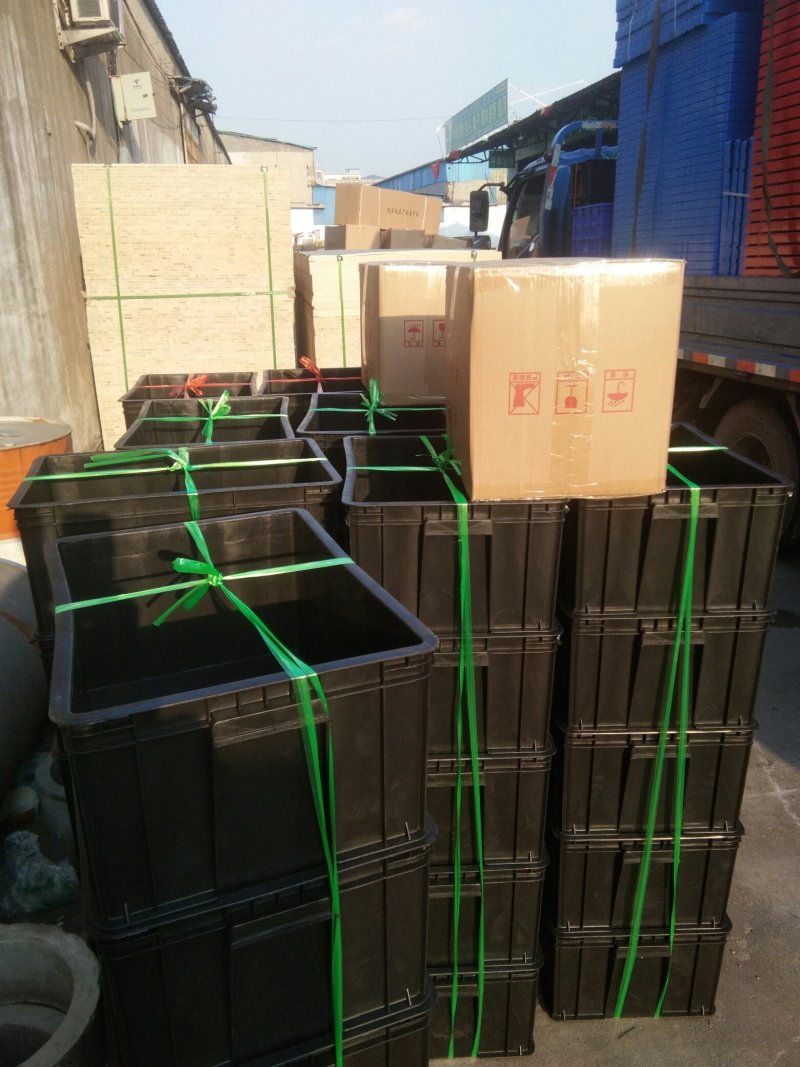 豆芽种植盘(豌豆苗，黄豆苗，黑豆苗，绿豆苗专用)