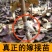早酥红梨嫁接苗包邮包成活死苗补发