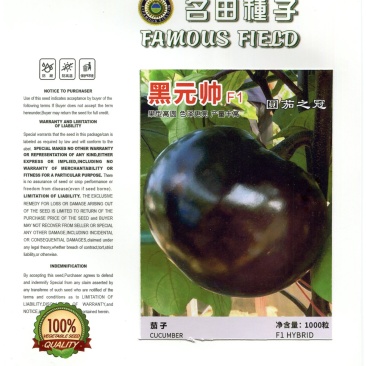 高档圆茄子种子,果脐小,光滑明亮