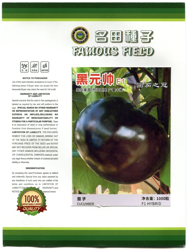 高档圆茄子种子，果脐小，光滑明亮