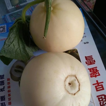 早雪