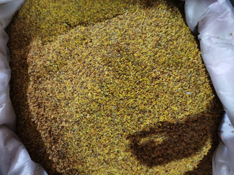 振兴药材批发供应桂花常年供应价格便宜