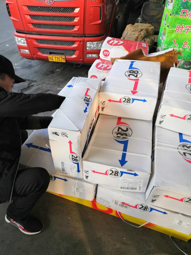 冻品进口