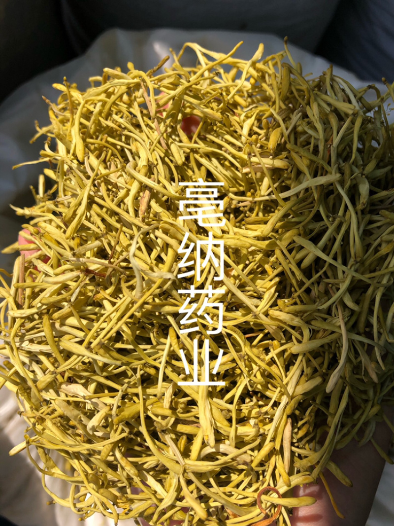 山银花山东1公斤起批
