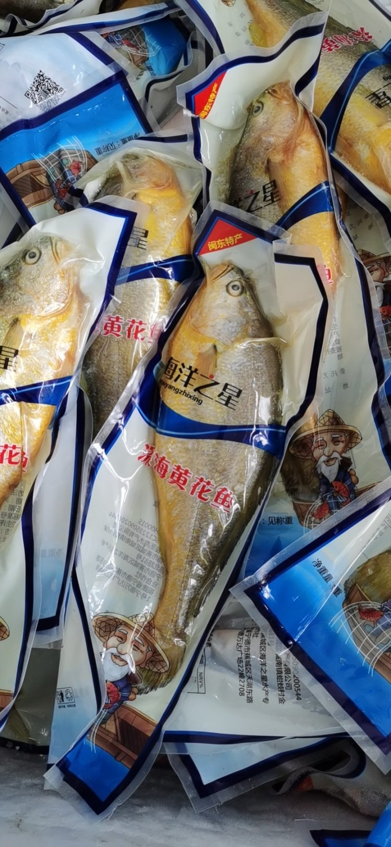 新鲜大黄鱼鲜活速冻大黄鱼黄鱼水产江苏海鲜水产