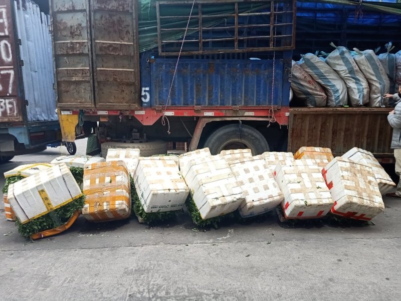 新鲜艾草叶，**食用，做青团，艾糍，艾板，火锅等