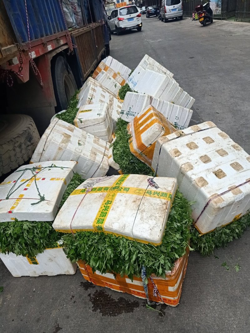 新鲜艾草叶，**食用，做青团，艾糍，艾板，火锅等