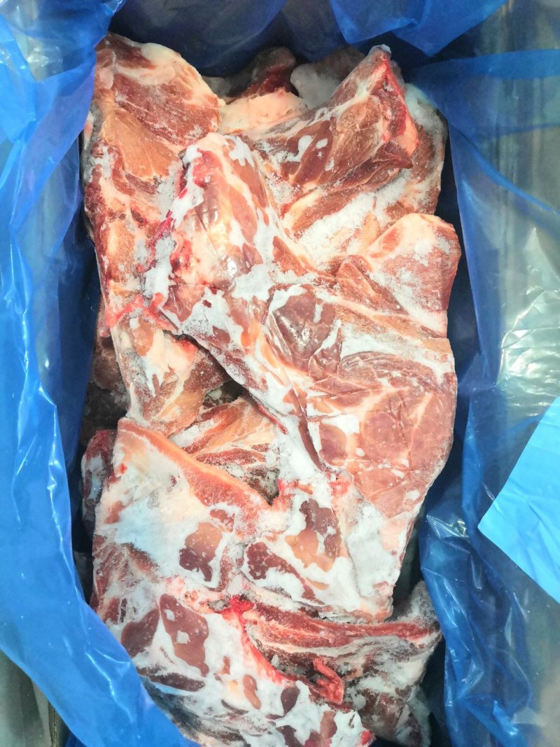 猪胫骨
