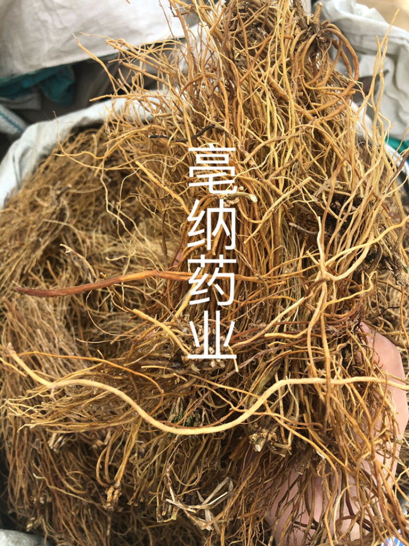 龙胆草中药材优质龙胆草个子云南胆草1⃣️公斤起批