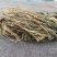 雪里红梅干菜