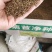 菊苣种子四季常青将军菊巨牧草种子鸡鹅鸭饲用牧草种子