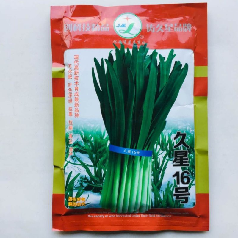 韭菜种子，久星16久星18/冬季不休眠品种种子