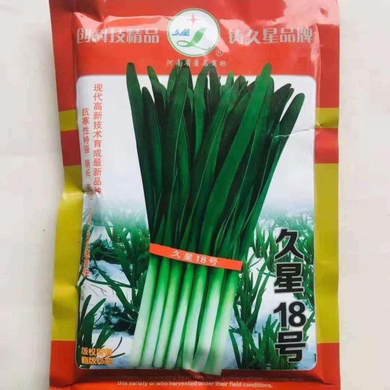 韭菜种子，久星16久星18/冬季不休眠品种种子