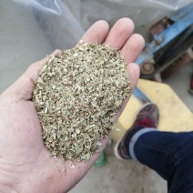 鹅饲料—花生秧碎叶：蛋白含量高，无土无膜，可视频看货，