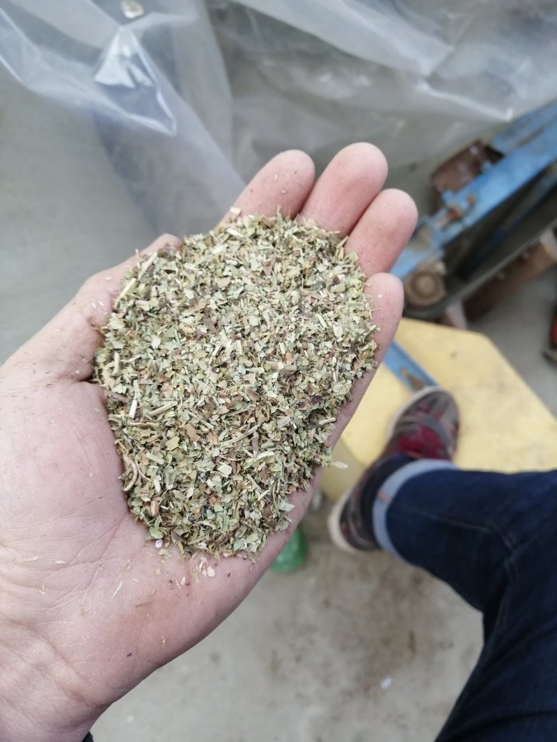 鹅饲料—花生秧碎叶：蛋白含量高，无土无膜，可视频看货，