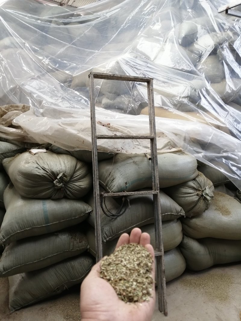鹅饲料—花生秧碎叶：蛋白含量高，无土无膜，可视频看货，