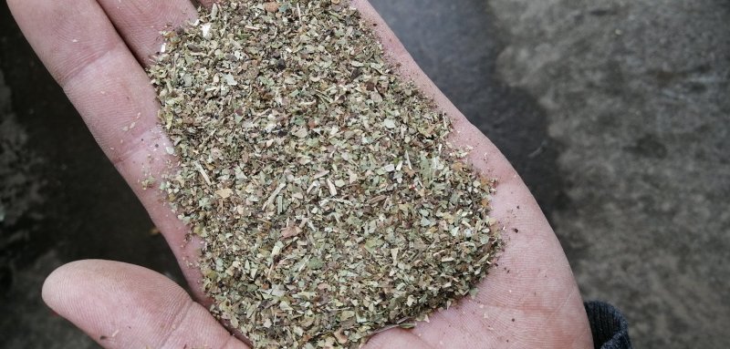 鹅饲料—花生秧碎叶：蛋白含量高，无土无膜，可视频看货，