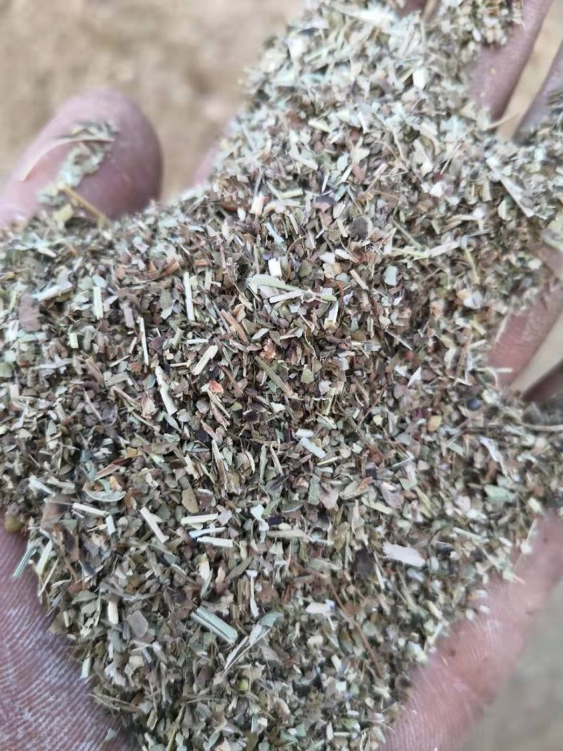 鹅饲料—花生秧碎叶：蛋白含量高，无土无膜，可视频看货，