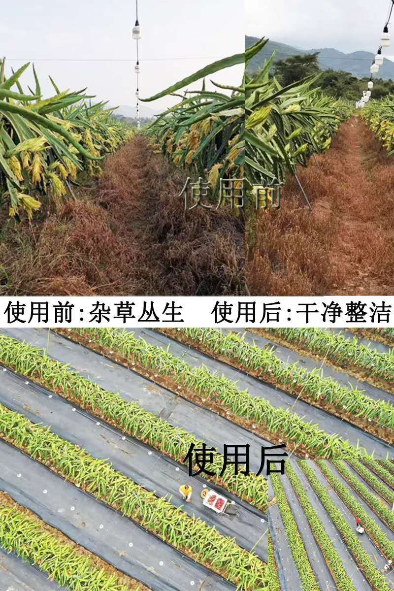 厂家直销果园除草布防草布地膜园艺地布果园黑色防草布