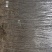 杏树出售：各种工程苗，占地苗，需要的老板和我联系，