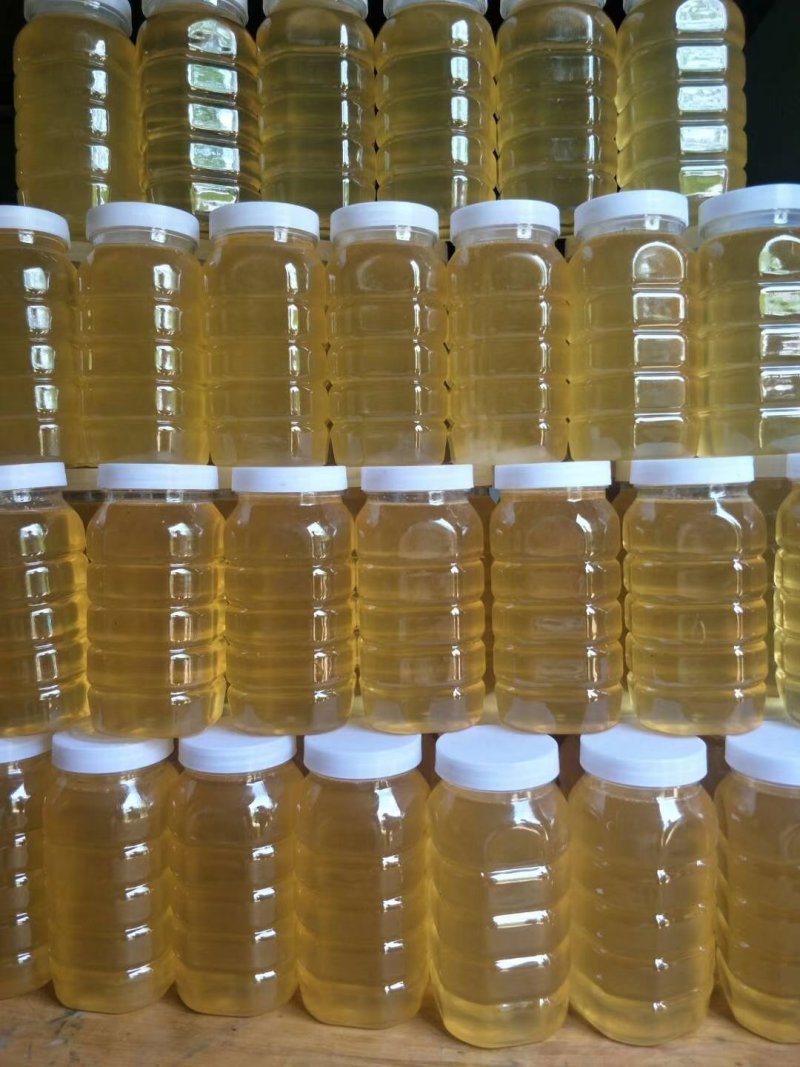 山西枣花蜜洋槐花蜂蜜农家自产纯正蜂蜜一手货源一瓶2斤包邮