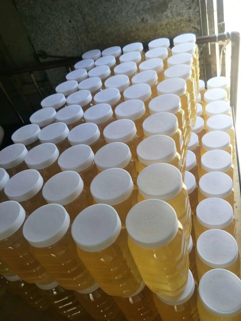 山西枣花蜜洋槐花蜂蜜农家自产纯正蜂蜜一手货源一瓶2斤包邮