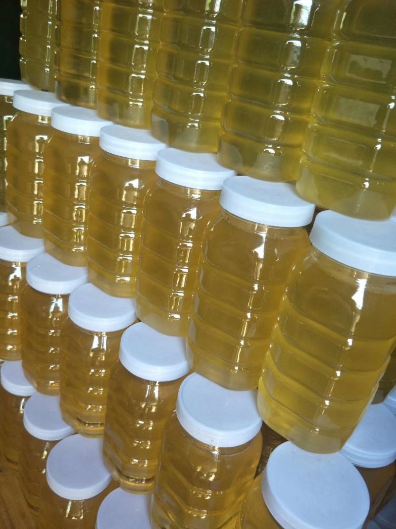 山西枣花蜜洋槐花蜂蜜农家自产纯正蜂蜜一手货源一瓶2斤包邮