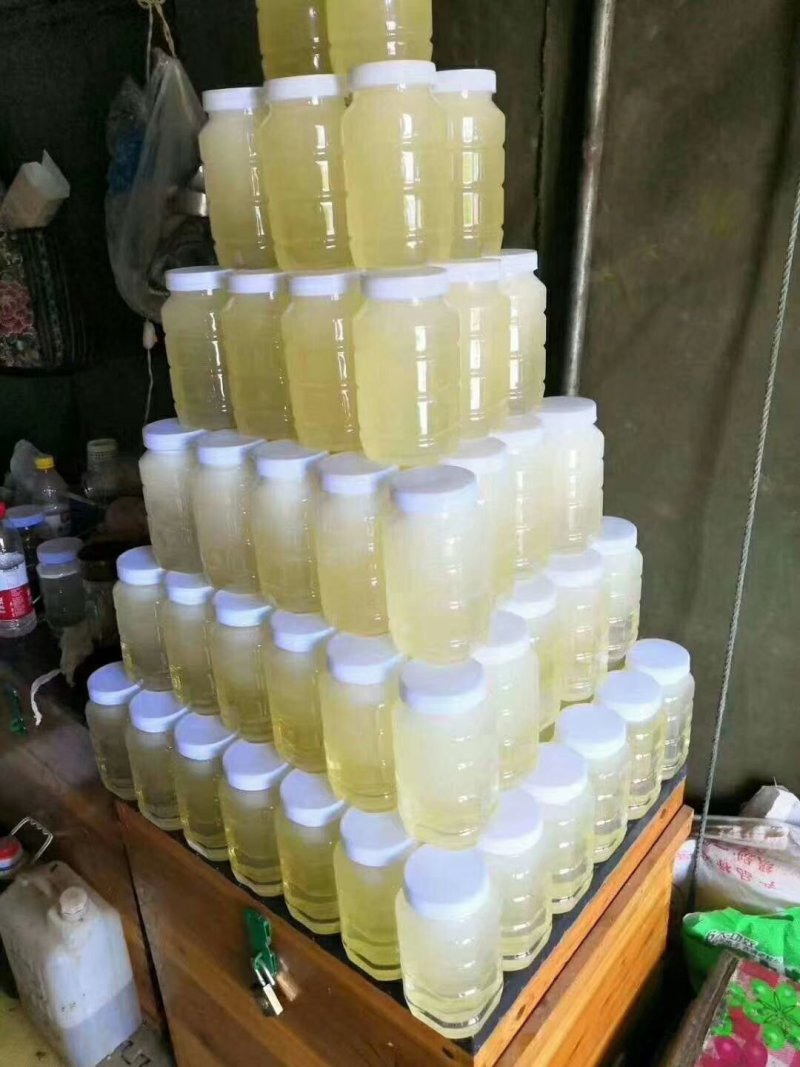 山西枣花蜜洋槐花蜂蜜农家自产纯正蜂蜜一手货源一瓶2斤包邮