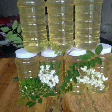 山西枣花蜜洋槐花蜂蜜农家自产纯正蜂蜜一手货源一瓶2斤包邮
