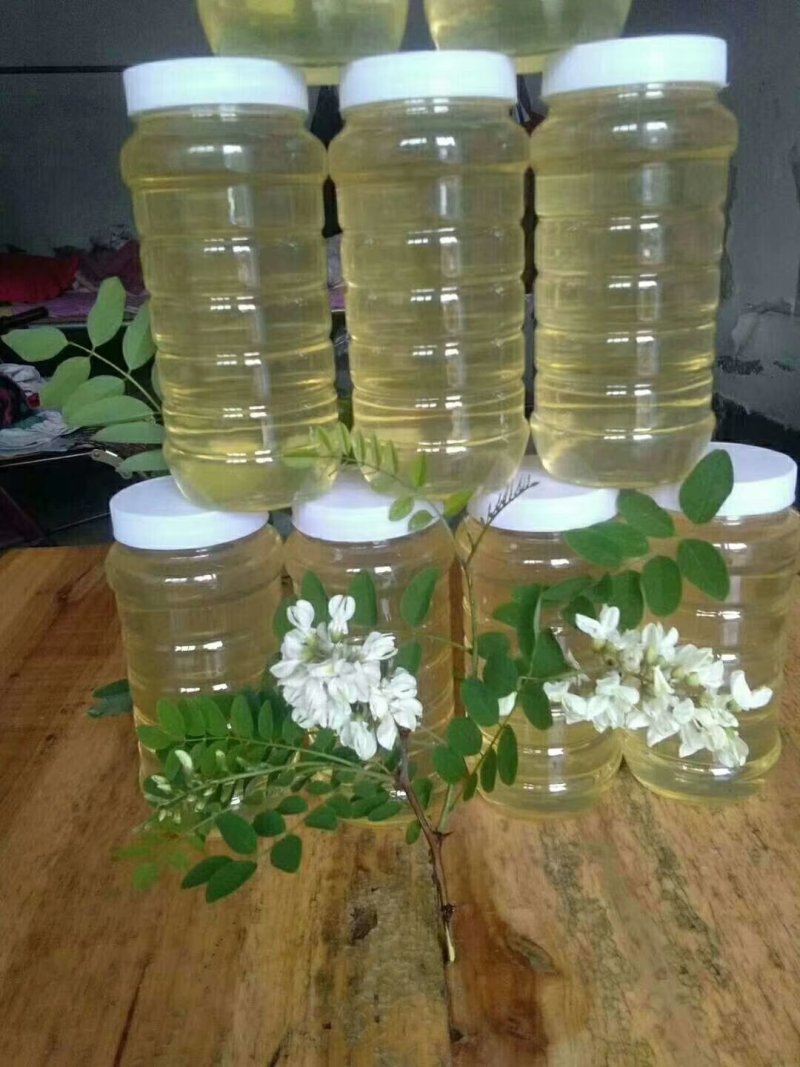 山西枣花蜜洋槐花蜂蜜农家自产纯正蜂蜜一手货源一瓶2斤包邮