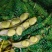 胡豆蚕豆量大从优质量第—基地货