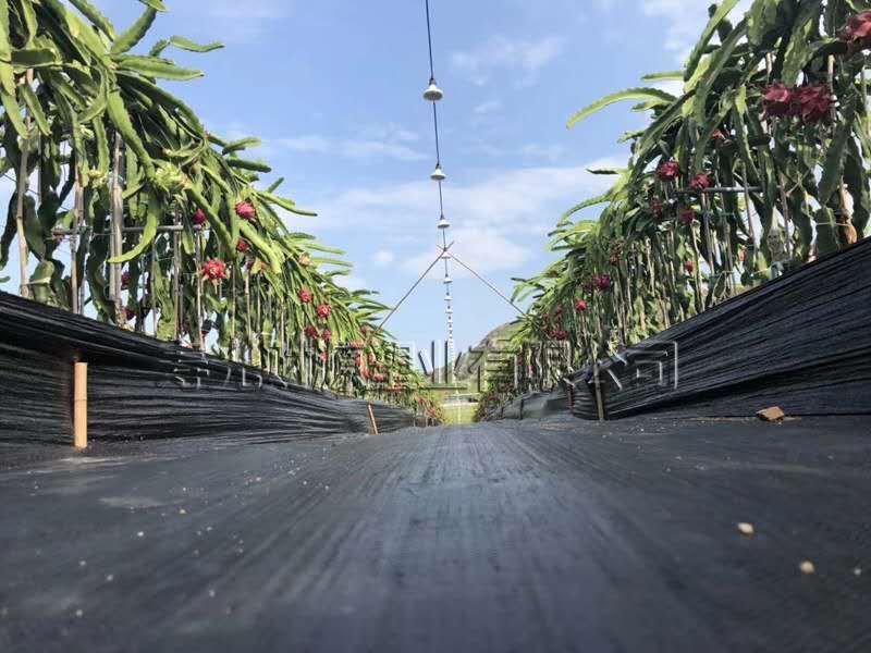 现代园林防草布pp编织防草布大棚果园用除草布