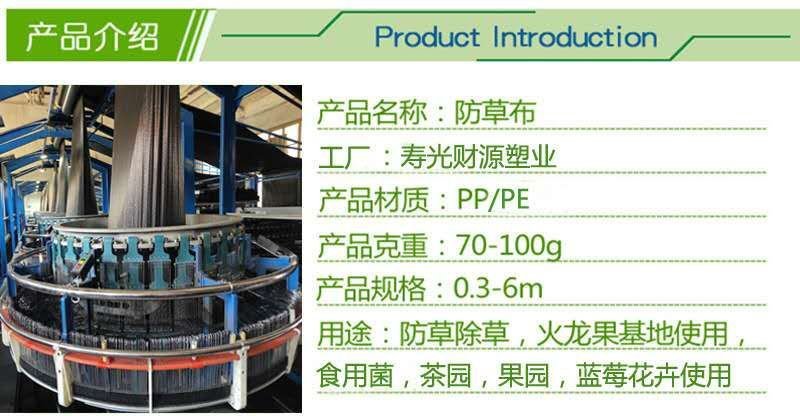 现代园林防草布pp编织防草布大棚果园用除草布
