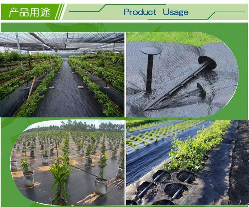 厂家直销黑色pp园艺地布防草布除草布批发pp地布