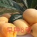 云霄枇杷