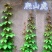 爬山虎籽种长青爬藤植物四季常青三叶五叶爬山虎种子