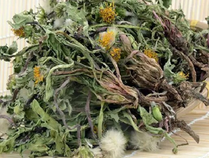 车前草野生车前草茶新鲜车茶草整颗车前草养生茶