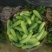蔬菜