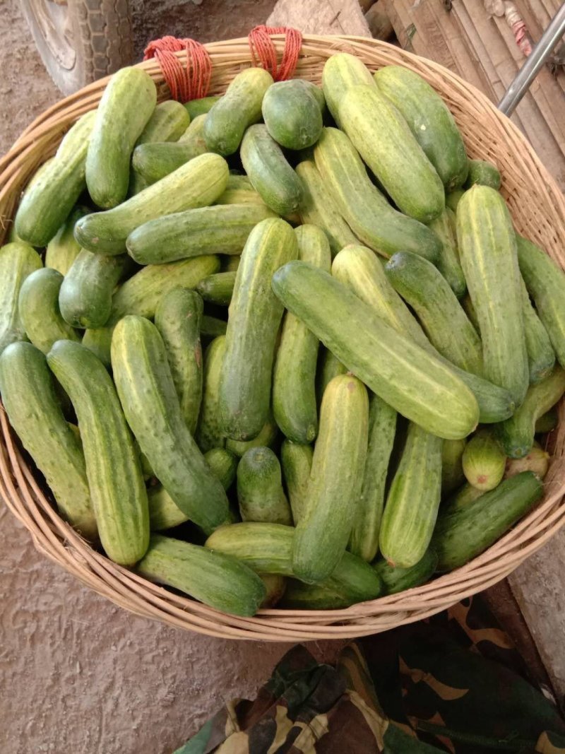 蔬菜